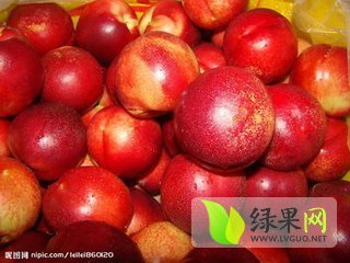 2018年山东费县曙光价格