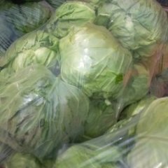 曲周蔬菜刘长江2月甘蓝