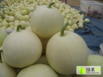 2015年山东费县早雪价格