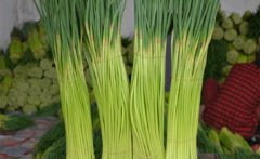 2015年河南中牟红帽 蒜薹价格