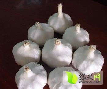 2015年河南中牟杂交蒜价格