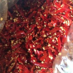 金乡兴隆李亚军4月天宇辣椒