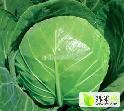 2015年山东郯城中甘21甘蓝价格