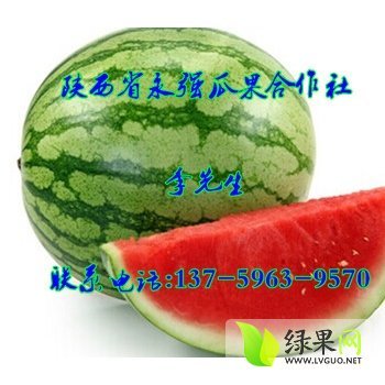 京欣价格