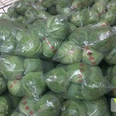 虞城甘蓝长势旺盛,崔老小金诚信合作