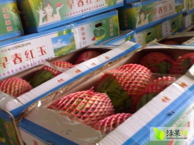 2015年江苏东台早春红玉价格
