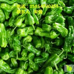 山东省临沂市兰陵县向城镇蒙台蔬菜批发市场