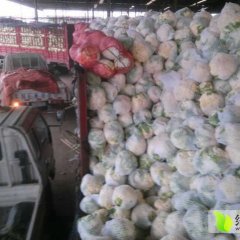 商丘市310蔬菜批发中心代销各种蔬菜