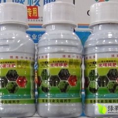 青州新型高产肥料