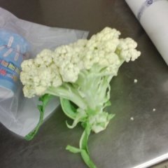 大量供应有机花菜，包菜