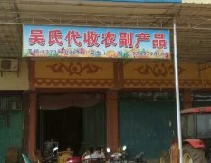 江洲西瓜口感爽口,广西吴秋堂诚信合作
