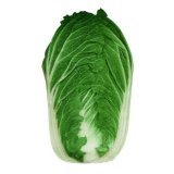 滕州白菜何去何从,大坞段宁诚信合作