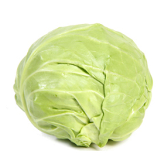 河南新野包菜俏销大江南北