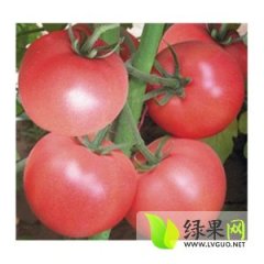 一次合作，终身朋友