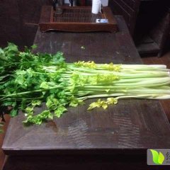 平度马家沟芹菜