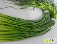 商河白桥大蒜基地，优质蒜薹即将成熟上市