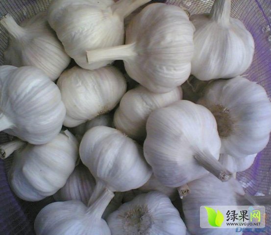 2015年山东金乡金乡大蒜价格