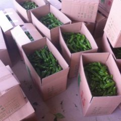 江苏东台301辣椒逐渐升温 1525114206