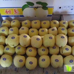 陕西酥梨产地价格