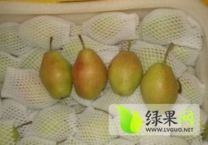 2015年红香酥梨价格行情