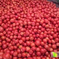 山东蔬菜范先生：硬粉0.9-1元/斤