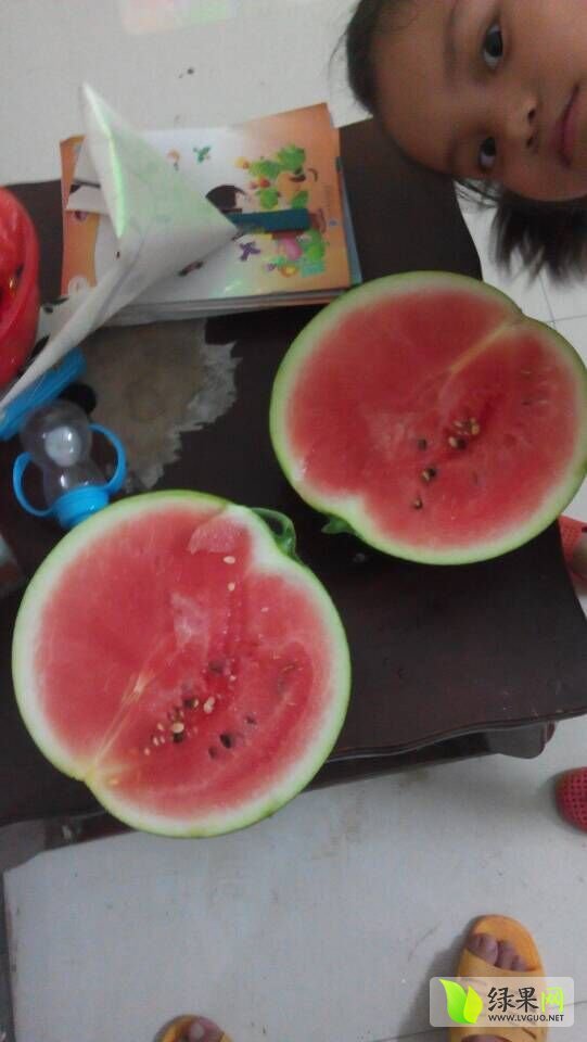 小麒麟价格