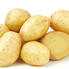 供应大量新土豆，诚信合作