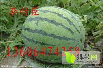 2014年山东安丘京欣价格