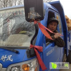 甘肃土豆艾学文出售陇薯3号 价格适宜 口感爽口