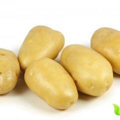 代收山东滕州土豆