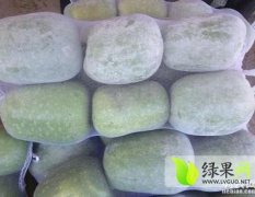 山东莘县白皮冬瓜名优产品