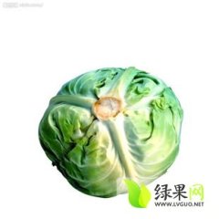 江苏铜山中甘21甘蓝早买早赚