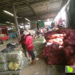 河南粱园硬粉西红柿名扬天下