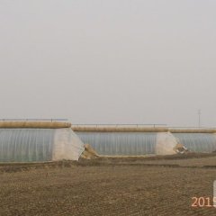 盘锦盘山长发专业种植合作社