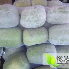 聊城市董杜庄冬瓜大量上市 程征起：白皮冬瓜
