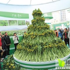 2015连州芥菜价格波动不大