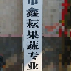 山东滕州荷兰十五土豆欢迎合作