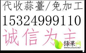 2014年河南中牟早熟蒜苔价格