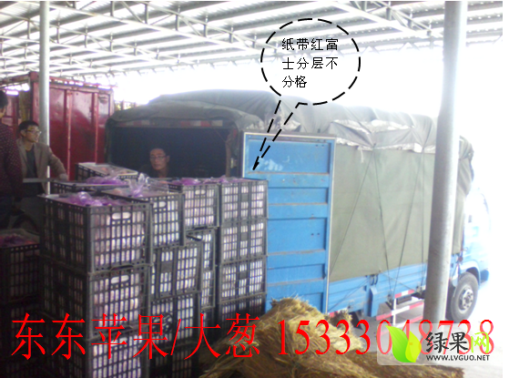 2015年山西万荣红苹果价格