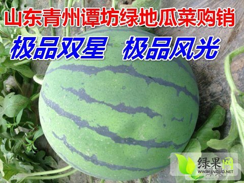 2015年山东青州京欣价格