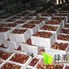 2015大荔油桃今年价格有看点