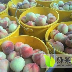 大荔双泉邢力强5月突围毛桃蜜桃