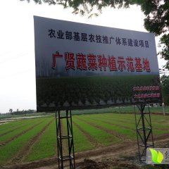 大邑县安仁镇广贤生态蔬菜专业合作社大量供应