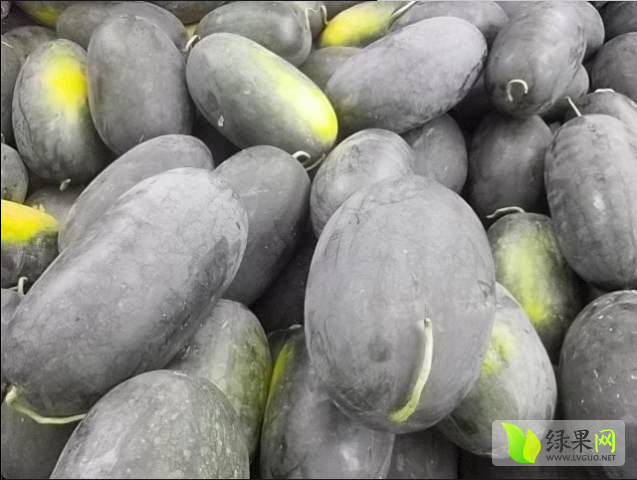 黑美人价格