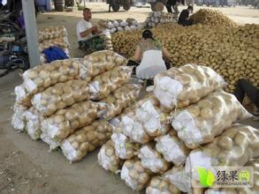 襄州土豆著名品牌,朱集崔俊伟诚信合作