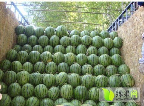 京欣价格