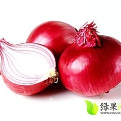 商丘洋葱著名品种,商丘邵经理诚信合作