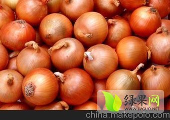 2015年山东金乡黄皮洋葱价格