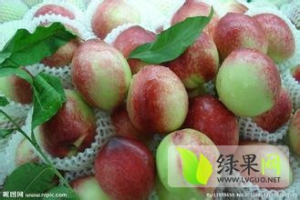 陕西中油5号油桃价格，油桃价格基地