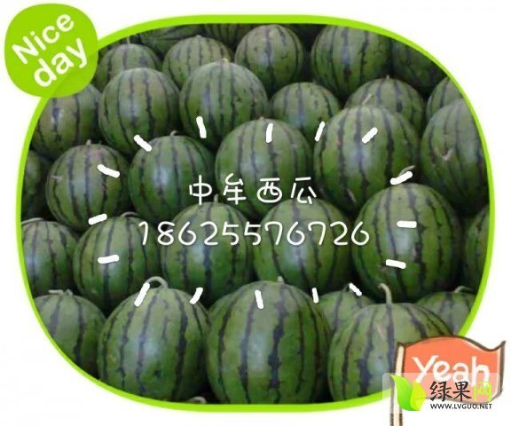 2015年河南中牟京欣价格